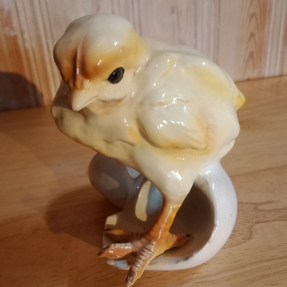 Tay Italian Hatching Chick